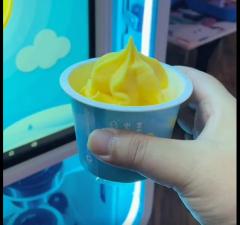 冰淇淋机子,制作美味冰淇淋的得力助手