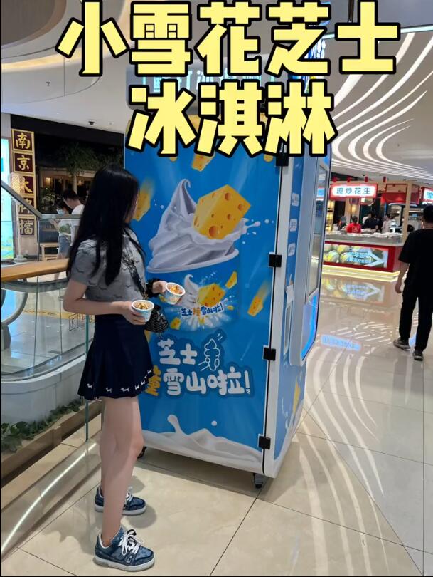进口冰淇淋机什么牌子最好,探寻最佳冰淇淋制作体验